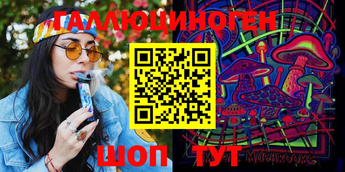 Галлюциногенные грибы Psilocybe Ачинск
